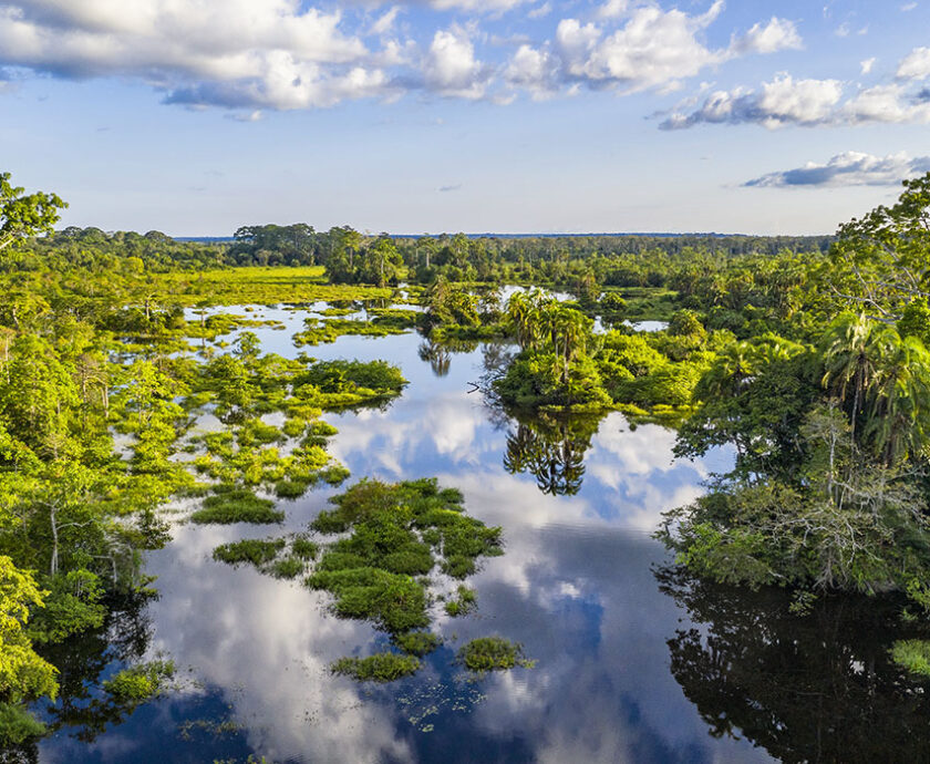 Aerial view of a river at a bai clearing in the rainforest, Congo